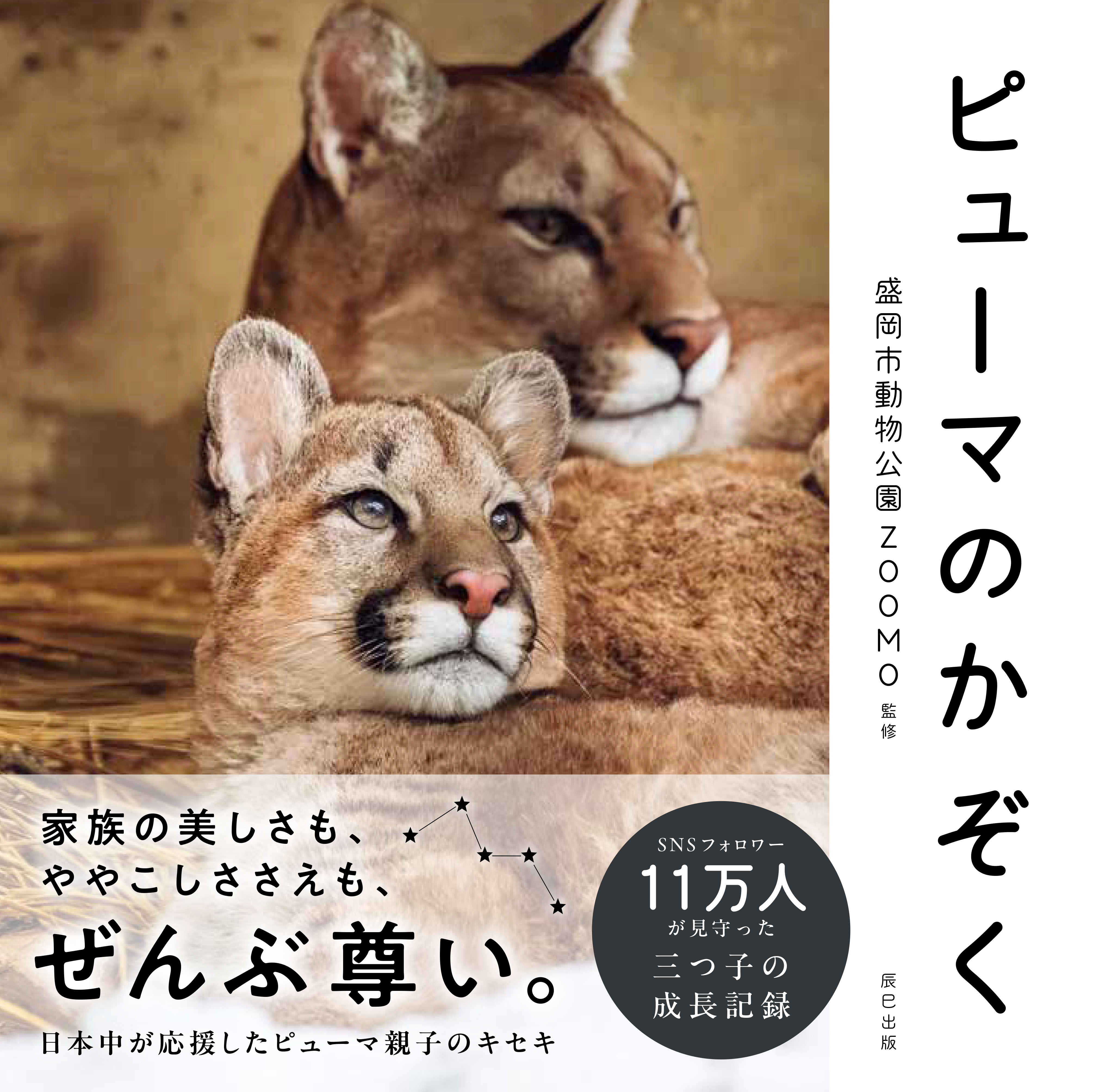 20260610発売